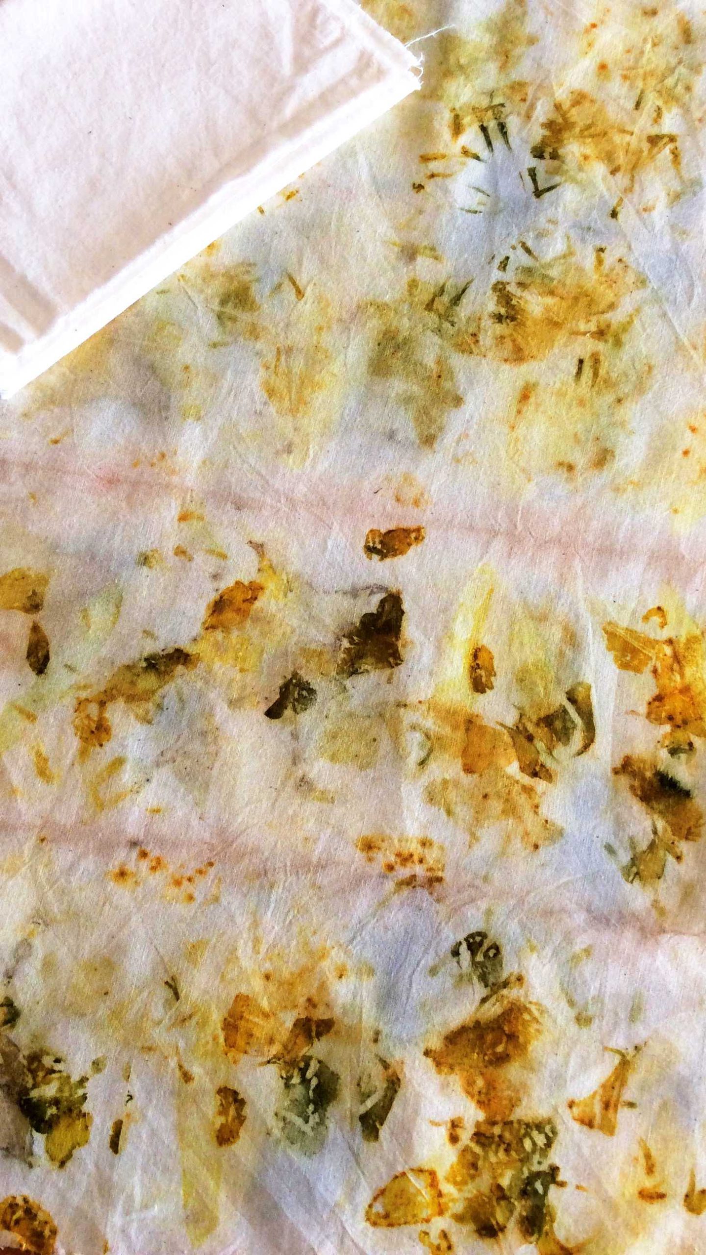Family Day Eco-Printing