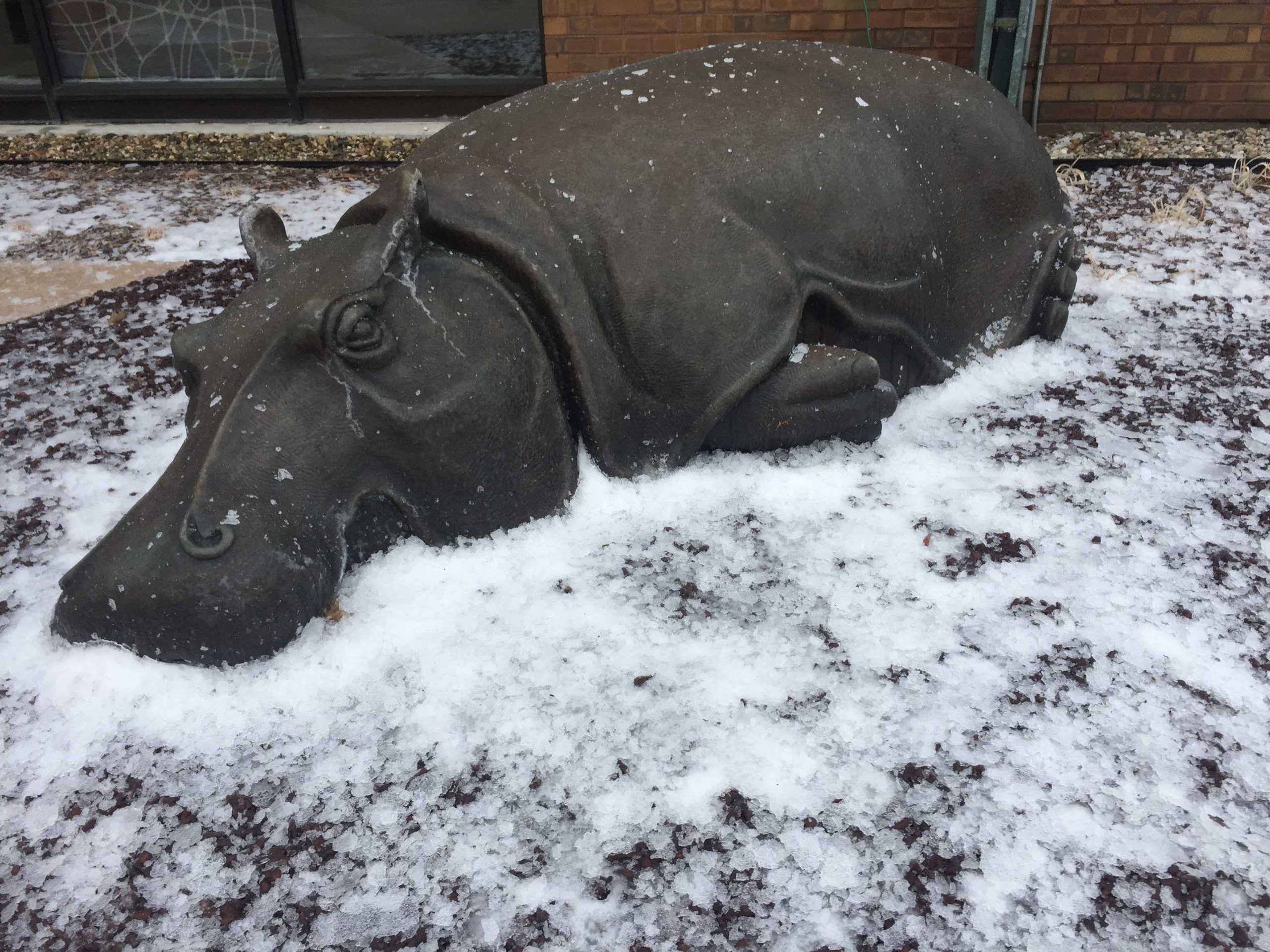 Krasl Art Center Winter Camps 2019