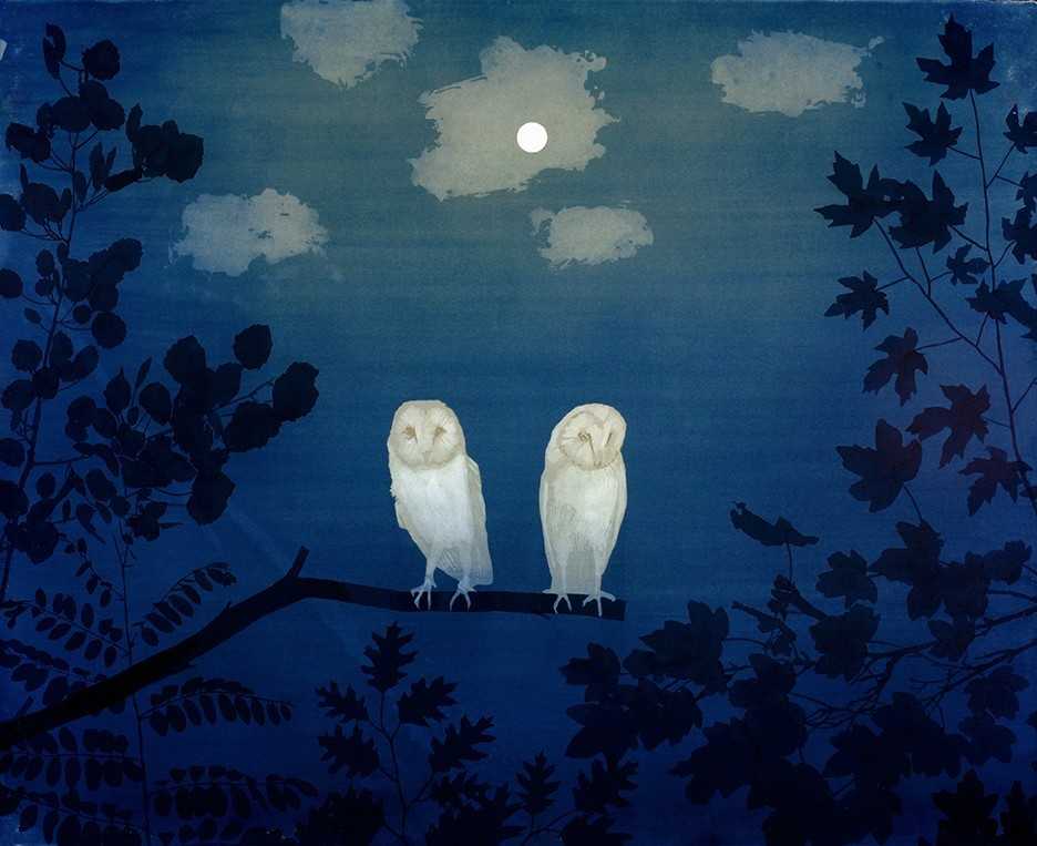 Wildlife Cyanotypes with Casey Roberts
