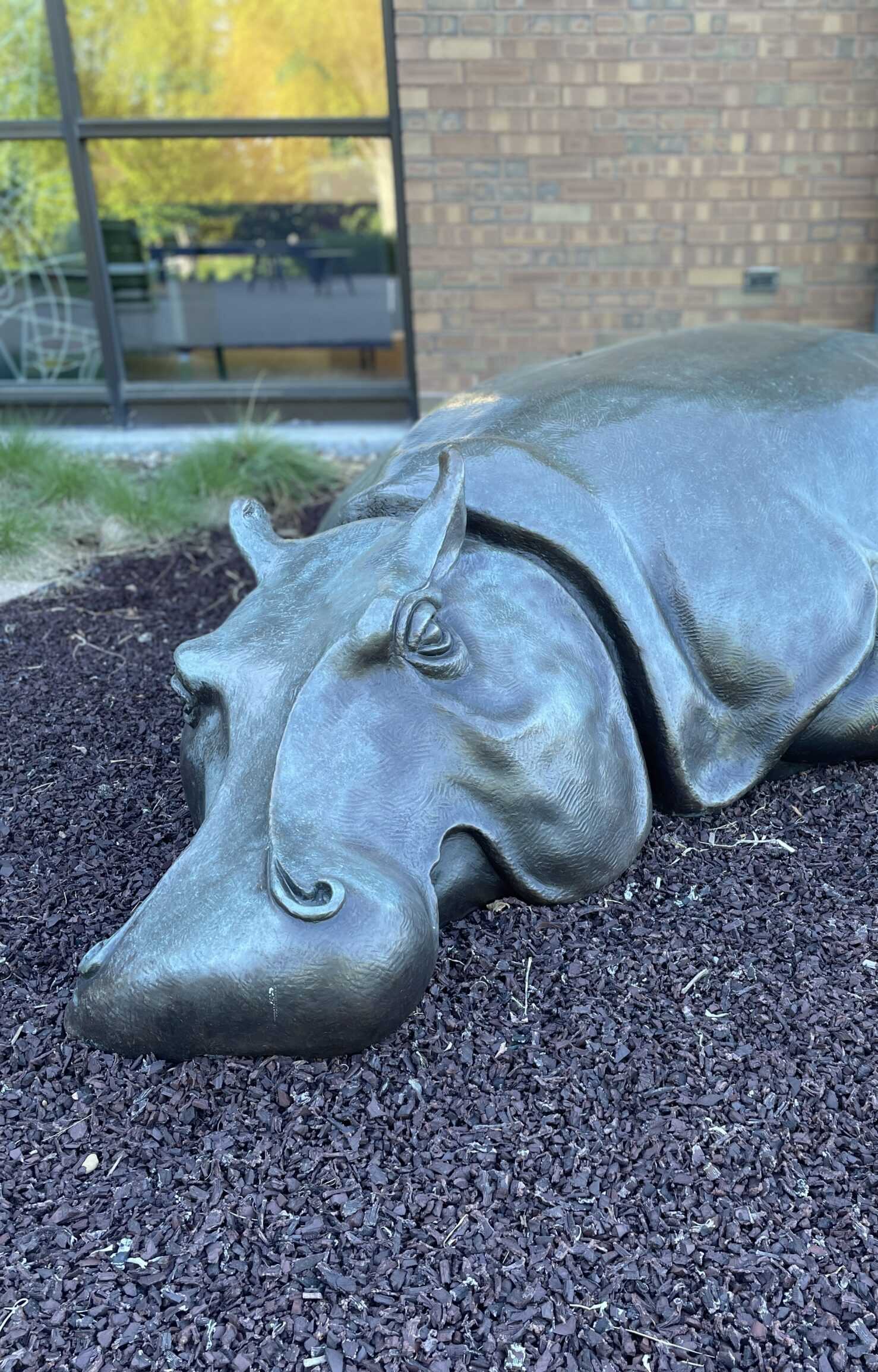 The Heavyweight (Lotus) by Dr. Burt Brent